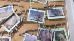 Forest School photo frames