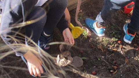 Gardening Club