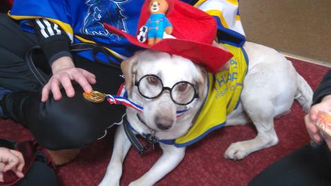 Twig - World Book Day 2025