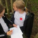 Orienteering