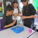 CL3 Science experiment