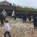 Seaside trip