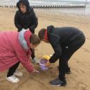 Seaside trip