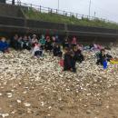 Seaside trip