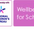 Wellbeing Award for Schools